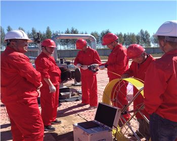 大慶石油天然氣管道檢測[九泰內窺鏡]